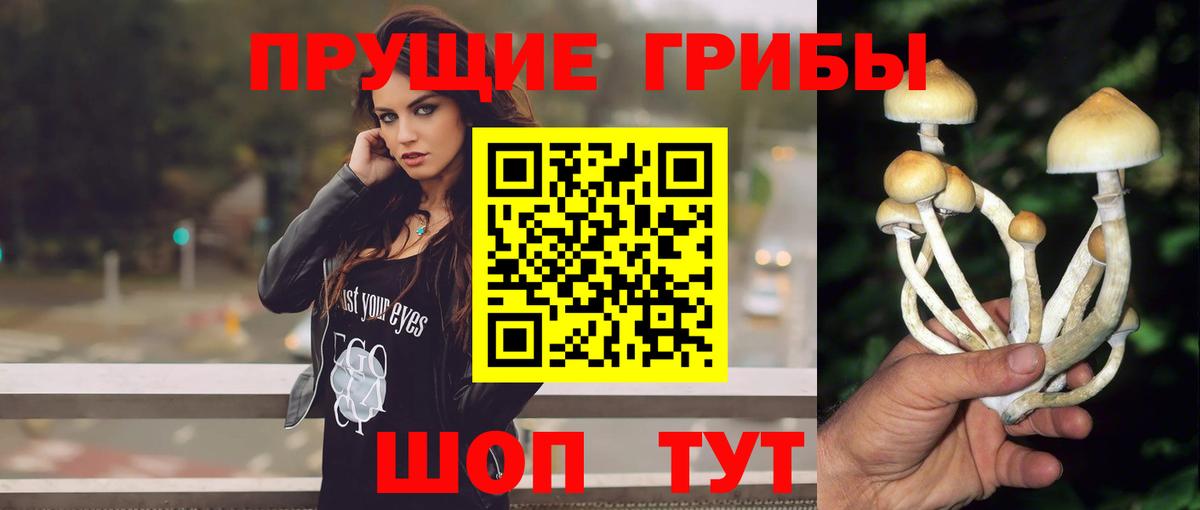 Псилоцибиновые грибы Psilocybe Анапа